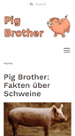 Mobile Screenshot of pigbrother.at