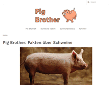 Tablet Screenshot of pigbrother.at